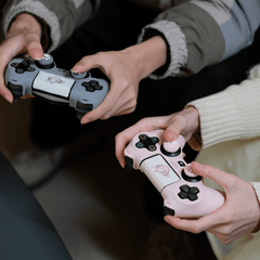 GeekShare Catroller PS4 Skin
