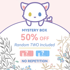 Mystery Box for NS/NS OLED Protective Case